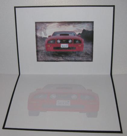 Red Mustang Blank Insert by Suzi Cooper