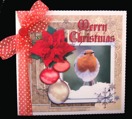 Merry Christmas Robin by Suzi Cooper