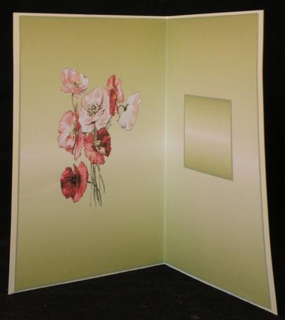 Poppies Insert by Suzi Cooper