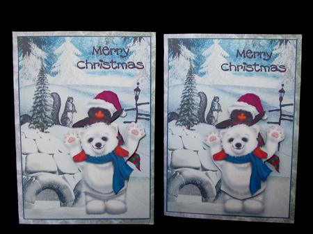 Polar Bear and Penguin A6 by Suzi Cooper