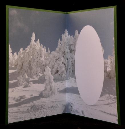 Snow Covered Pine Trees Insert by Suzi Cooper