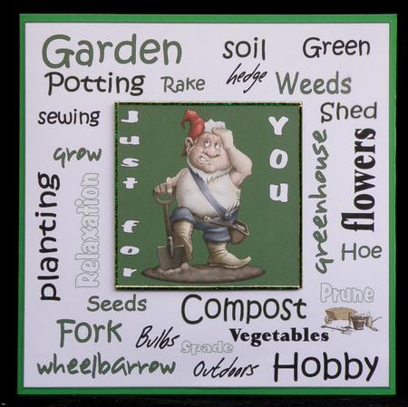 Garden Gnome Urban Art by Suzi Cooper