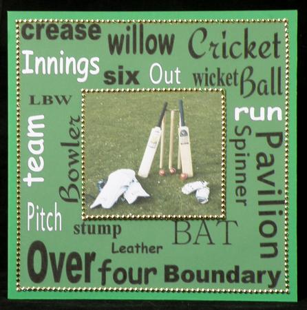 Cricket Urban Art by Suzi Cooper