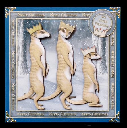 We Three Meerkats by Suzi Cooper