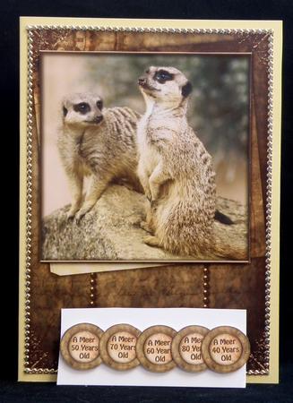 It's Meerly Another Birthday by Suzi Cooper