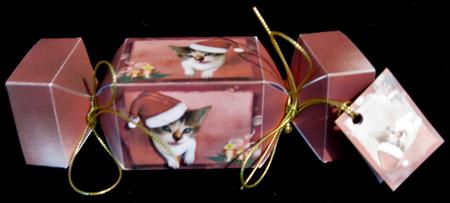 Sweet Christmas Kitty Cat Cracker Box with Gift Tag by Suzi Cooper