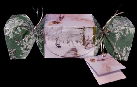 Winter Walks Cracker Box with Gift Tag by Suzi Cooper