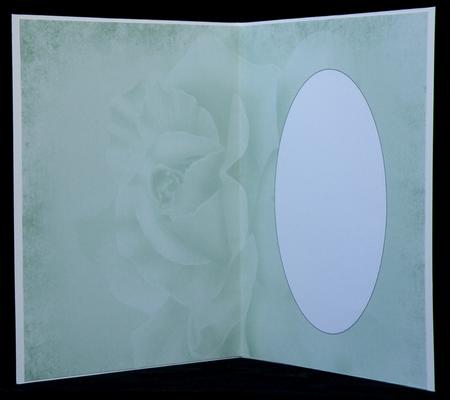 Antique Green Rose Insert by Suzi Cooper