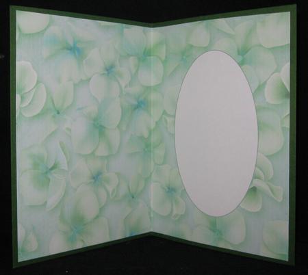 Hydrangea Flowers Green Insert by Suzi Cooper