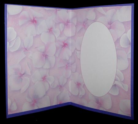 Hydrangea Flowers Pink Insert by Suzi Cooper