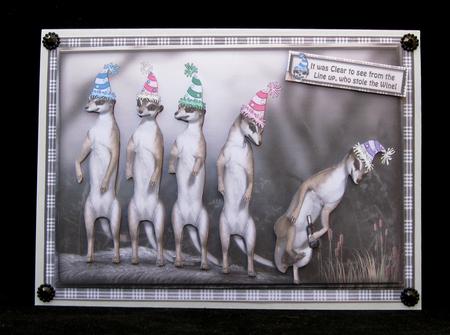 The Merry Meerkat by Suzi Cooper