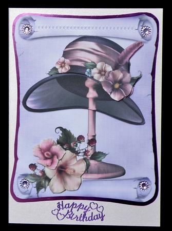 Off to the Races by Suzi Cooper
