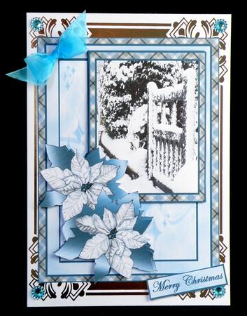 Winter Gate Quick Card by Suzi Cooper