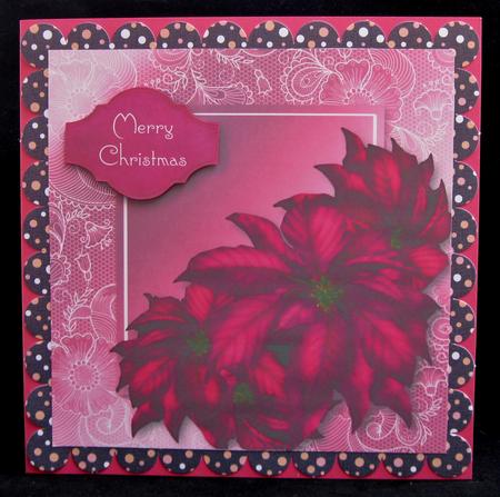 Pink Poinsettias Lacey Square by Suzi Cooper