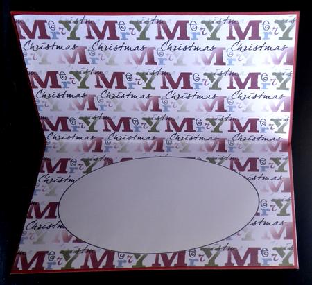 Christmas Themed Insert 12 by Suzi Cooper
