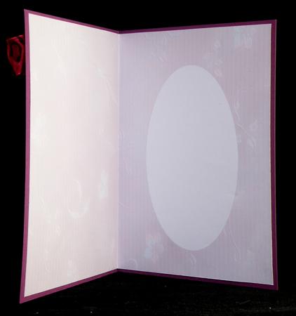 Floral Pink Insert by Suzi Cooper