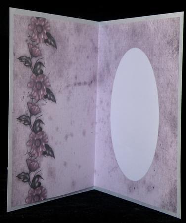 Poppy Twilight Insert by Suzi Cooper