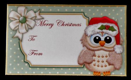 Christmas Money Wallet Brown Owl in Santa Hat by Suzi Cooper