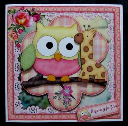 Little Owl by Suzi Cooper