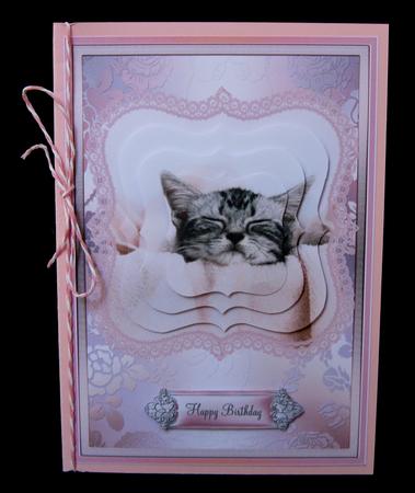 Cutest Sleeping Kitten Pyramid Card Front by Suzi Cooper
