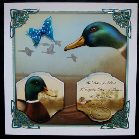 A Birds Desire 8x8 by Suzi Cooper