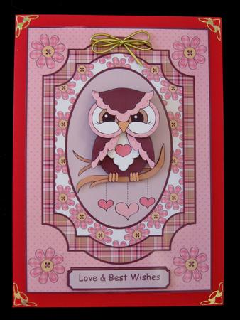 Twit Twoo, Who Loves You by Suzi Cooper