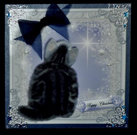 Through the Frosty Window Cat Card Topper by Suzi Cooper