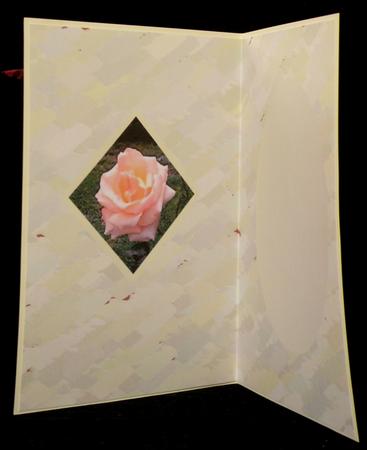 Grey with Rose Insert by Suzi Cooper
