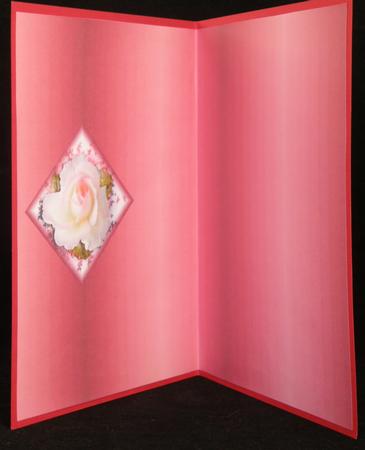 Friends Always Insert Pink by Suzi Cooper