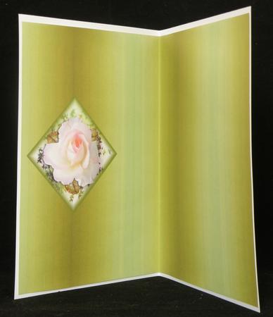 Friends Always Insert Green by Suzi Cooper
