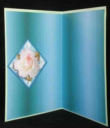 Friends Always Insert Turquoise by Suzi Cooper