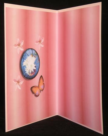 Any Occasion Card Insert Pink by Suzi Cooper