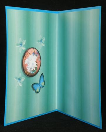 Any Occasion Card Insert Turquoise by Suzi Cooper