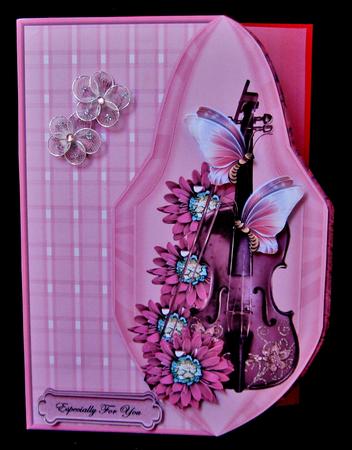 Over the Edge Music & Flowers by Suzi Cooper