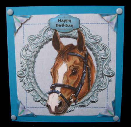 Horse in Frame by Suzi Cooper