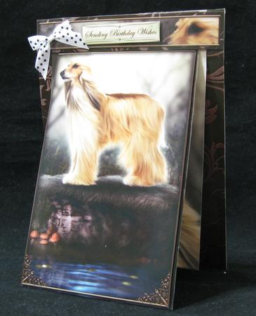 3 in 1 Faithful Friend by Suzi Cooper