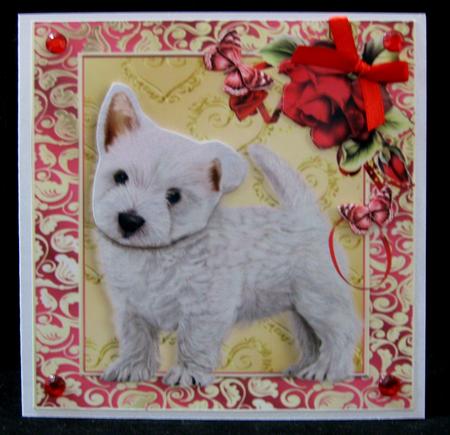 White Westie Dog with Red Roses 8x8 by Suzi Cooper