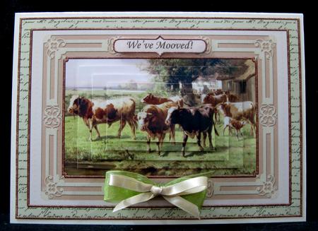 Weve Mooved or You Make the Earth Moove Quick Card by Suzi Cooper
