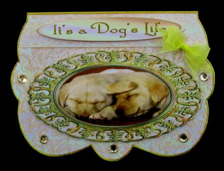 It's a Dog's Life - Scalloped Oval Ironwork Pyramid by Suzi Cooper