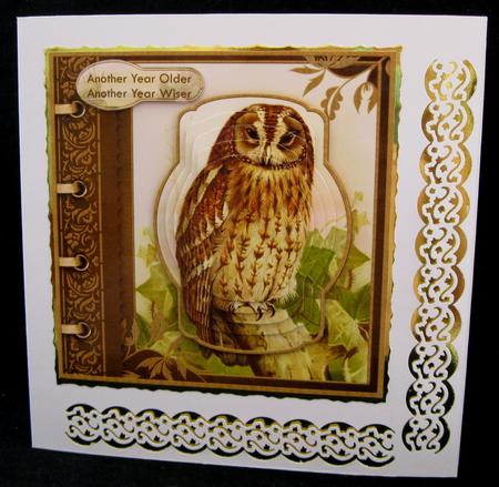 Vintage Owl Another Year Older Topper & Pyramage by Suzi Cooper