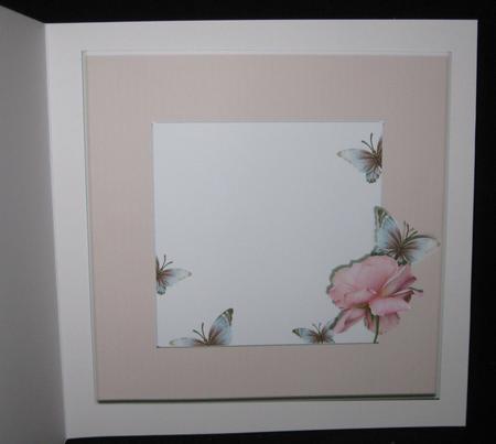 Pink Roses by Suzi Cooper