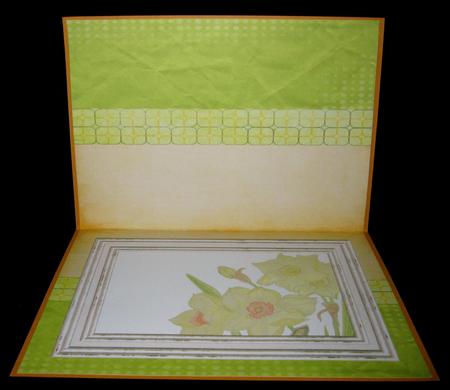 Daffodil Insert 2 - Peach & Pistachio by Suzi Cooper