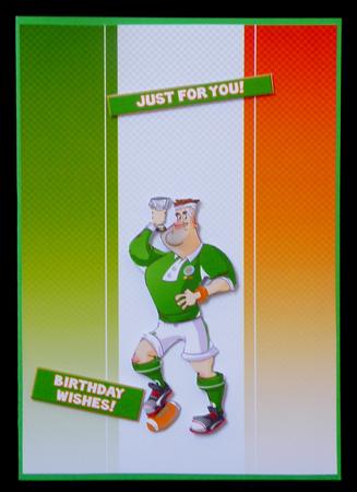 Rugby Dude Ireland Kit. by Suzi Cooper