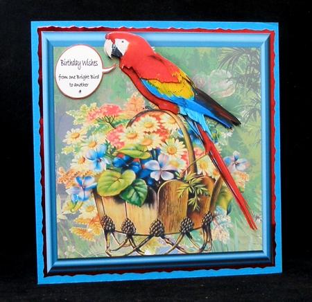 One Bright Bird to Another Out of the Frame by Suzi Cooper