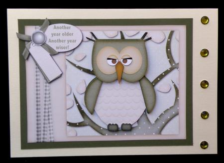 Wise Owl Another Year Older -  Topper & Decoupage by Suzi Cooper
