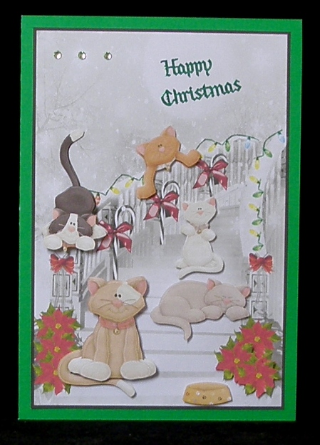 Cats Having Fun, Whoops One Needs Some Help! by Suzi Cooper