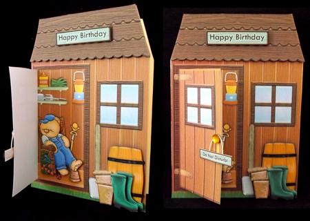 Behind the Shed Door Open and See by Suzi Cooper
