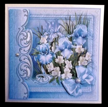 Iris in a Blue Rope Frame - 8in x 8in Decoupage by Suzi Cooper