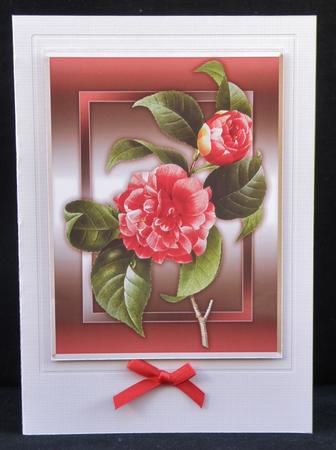 Camellias Quick Card by Suzi Cooper