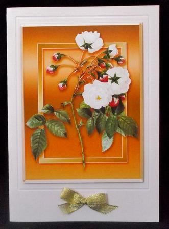 White Roses Quick Card by Suzi Cooper